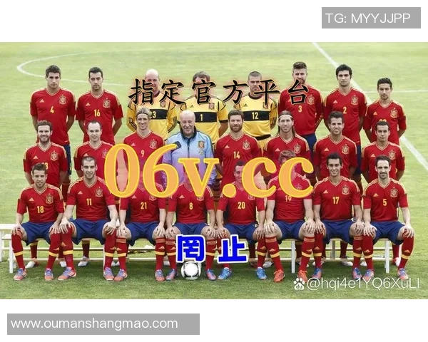 在哪里可以观看欧洲杯足球比赛的直播渠道和平台推荐 在哪里可以观看欧洲杯足球比赛的直播渠道和平台推荐