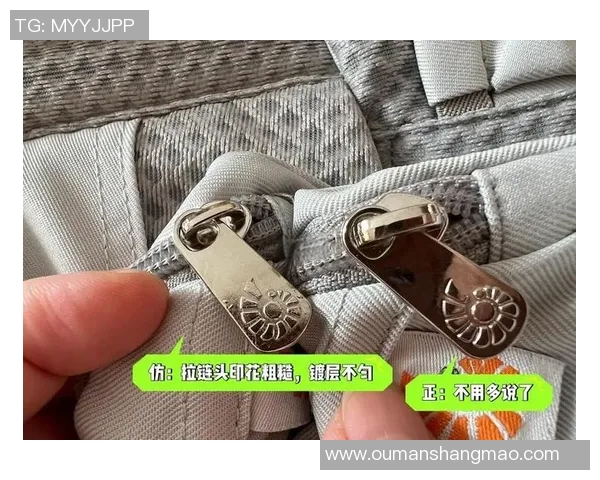 如何鉴定vs1441的真伪与质量标准详细指南